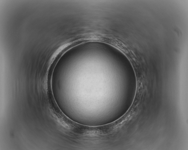 X0000111600200200907231243