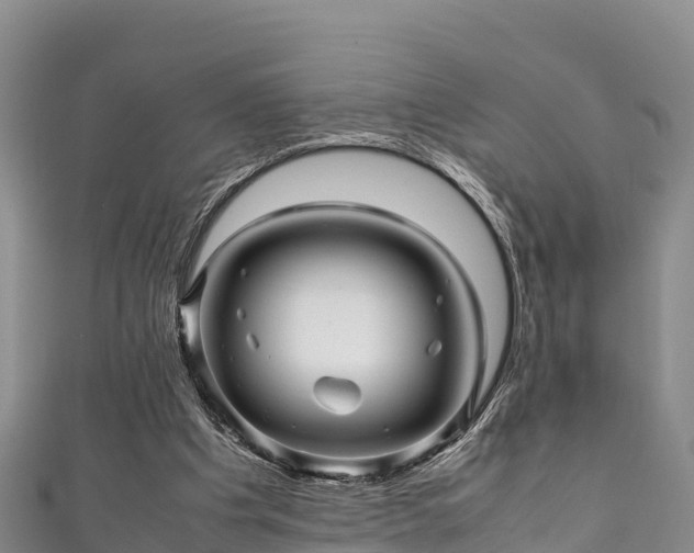X0000111600201200907231243