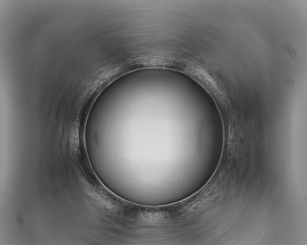 X0000111600202200907231243