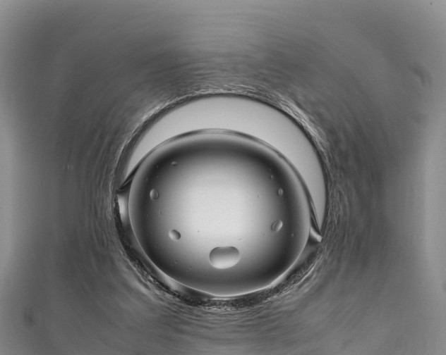 X0000111600203200907231243