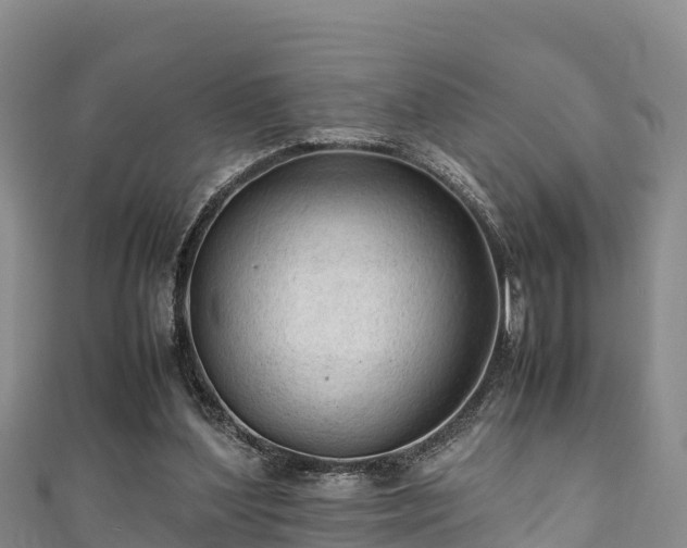 X0000111600204200907231243