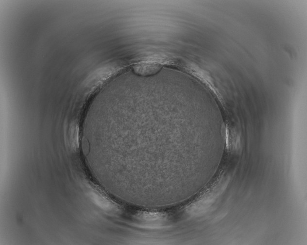 X0000111600205200907231243