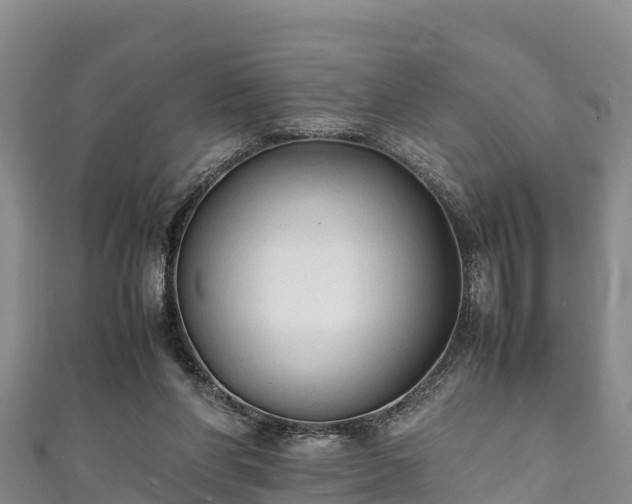 X0000111600206200907231243