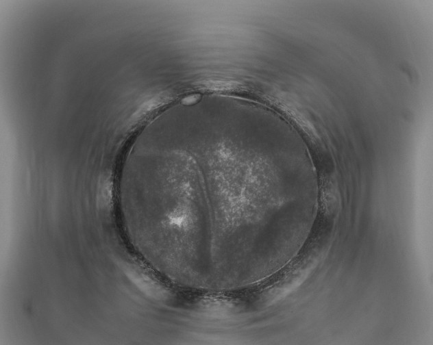 X0000111600207200907231243