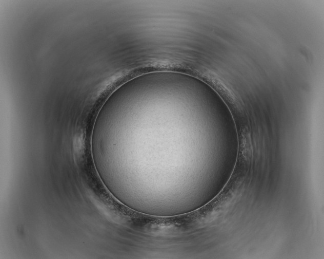 X0000111600208200907231243
