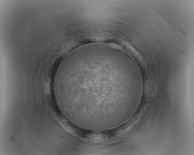 X0000111600209200907231243