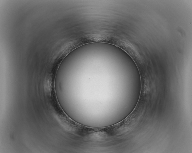 X0000111600210200907231243