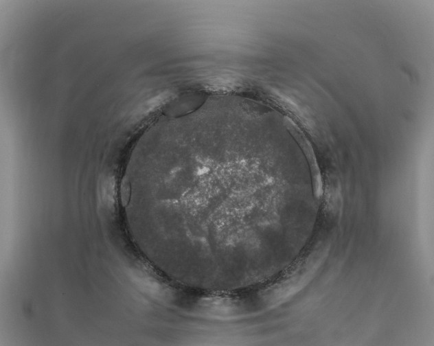 X0000111600211200907231243