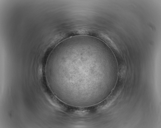 X0000111600213200907231243