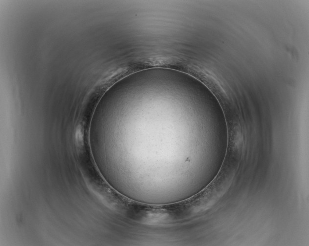 X0000111600214200907231242