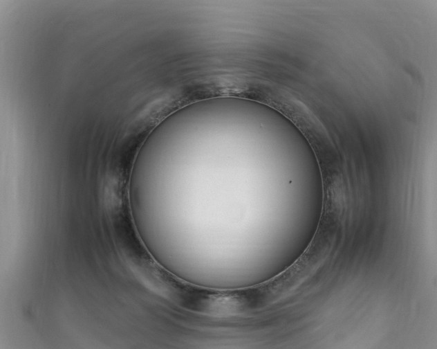 X0000111600218200907231242