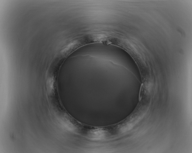 X0000111600219200907231242