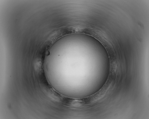 X0000111600222200907231242