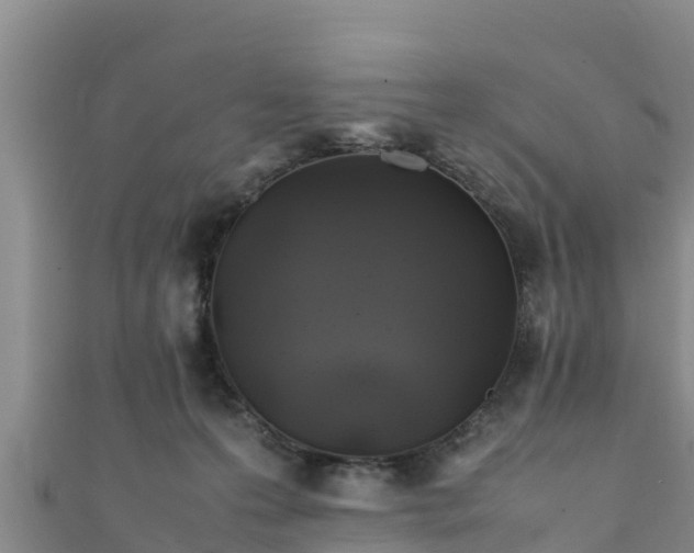 X0000111600223200907231242