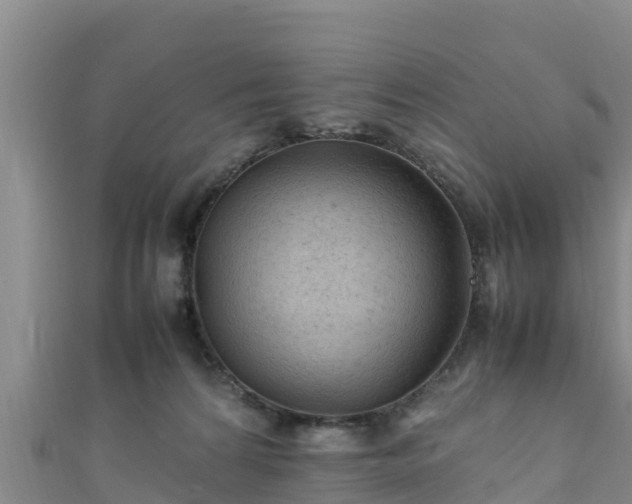 X0000111600224200907231242