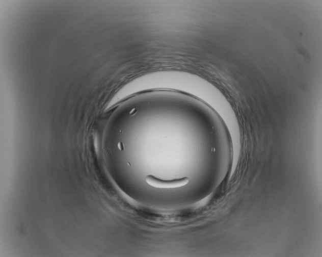 X0000111600225200907231242