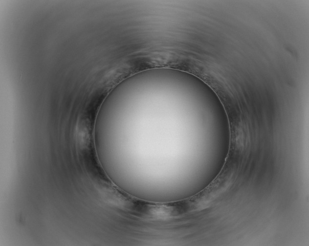 X0000111600226200907231242