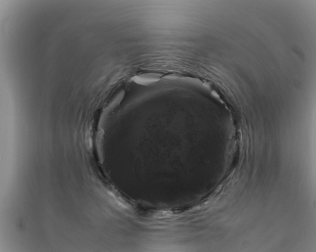 X0000111600227200907231242