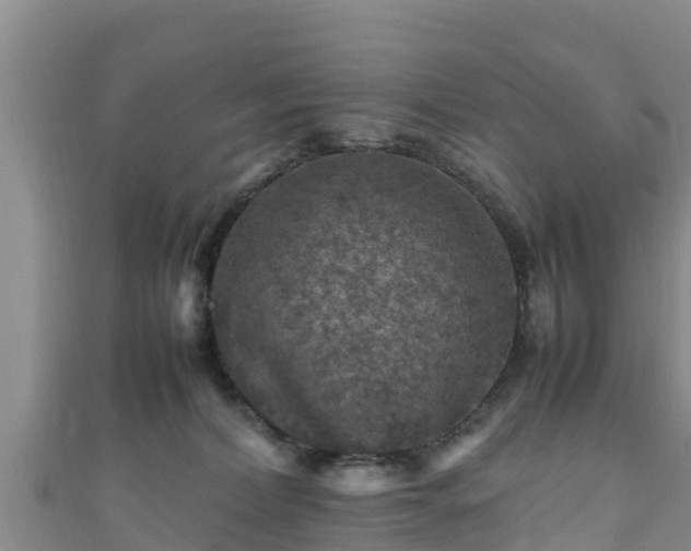 X0000111600228200907231242