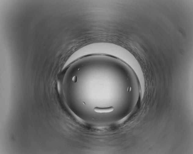 X0000111600229200907231242