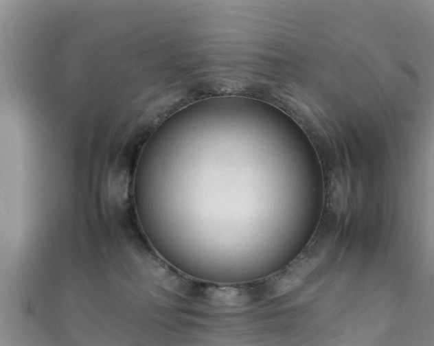 X0000111600230200907231242