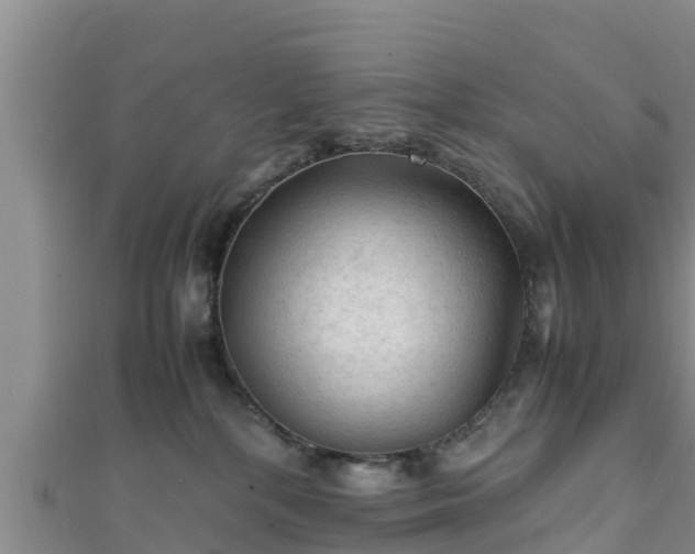 X0000111600232200907231242