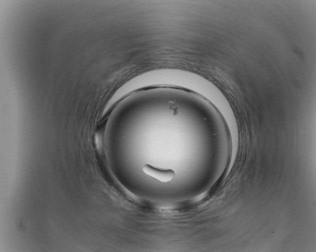 X0000111600233200907231242