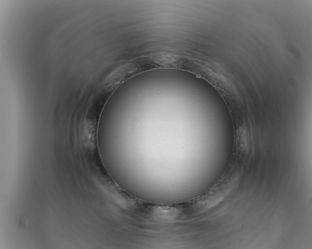 X0000111600234200907231242