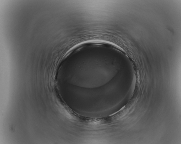 X0000111600235200907231242