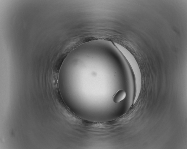 X0000111600237200907231242