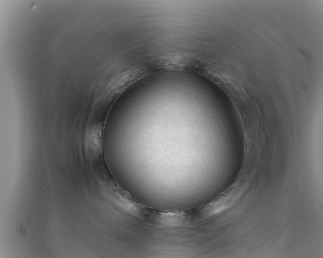 X0000111600240200907231242