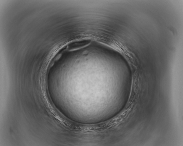 X0000111600241200907231242