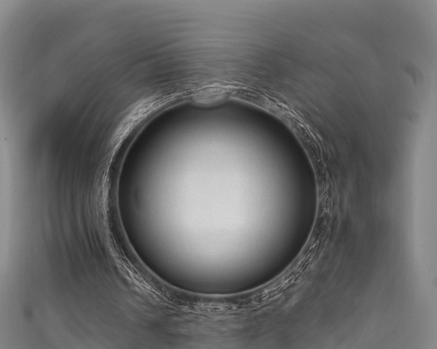 X0000111600242200907231242
