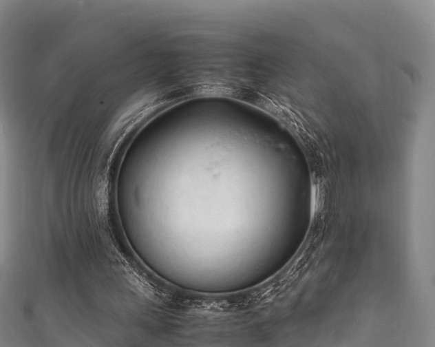 X0000111600243200907231242