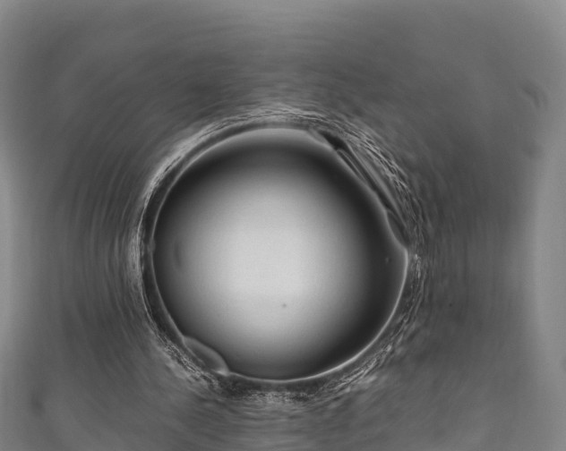 X0000111600244200907231242