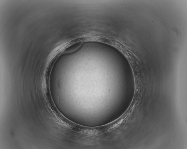 X0000111600245200907231242