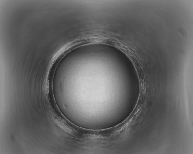 X0000111600246200907231242