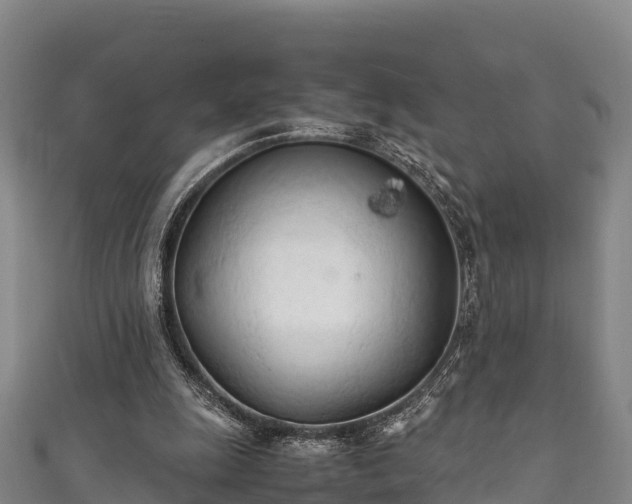X0000111600247200907231242