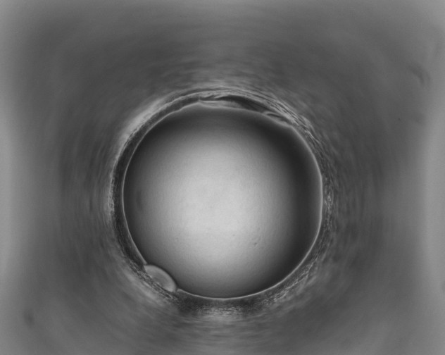 X0000111600248200907231242