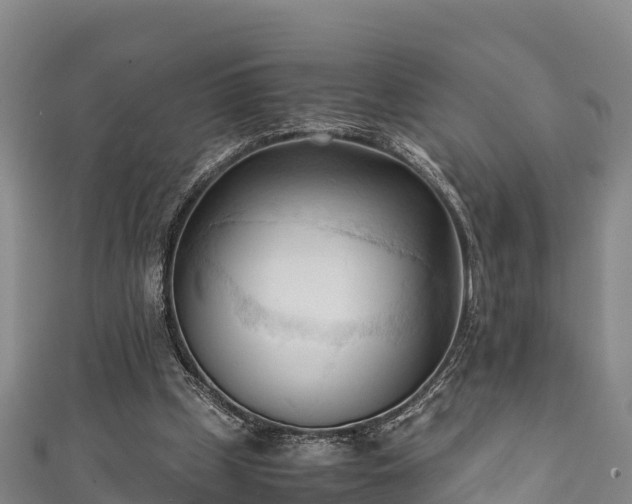 X0000111600249200907231242
