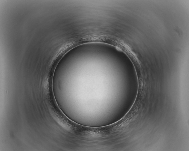 X0000111600250200907231242