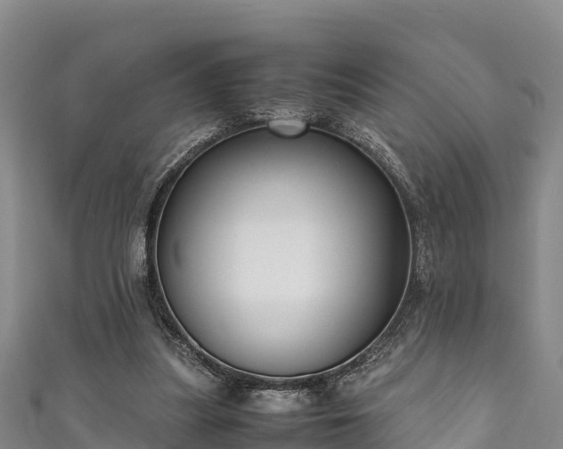 X0000111600251200907231242