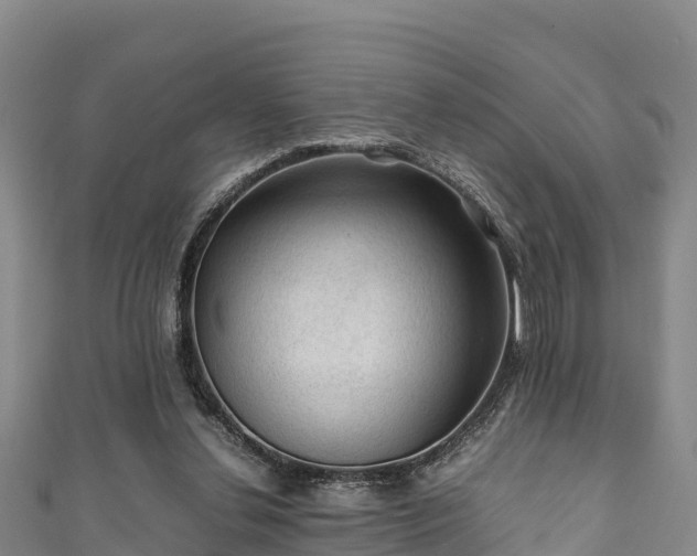 X0000111600252200907231242
