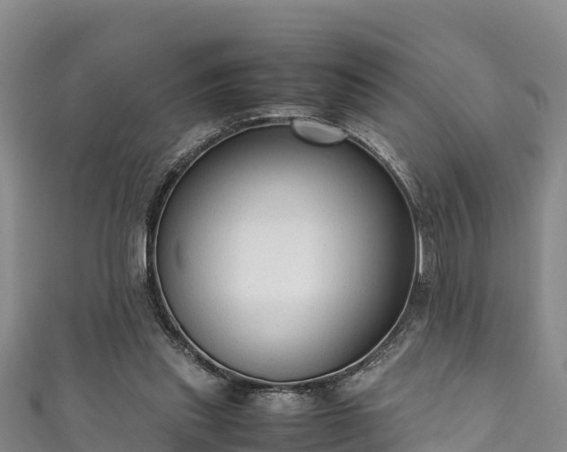 X0000111600253200907231242