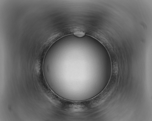 X0000111600255200907231242