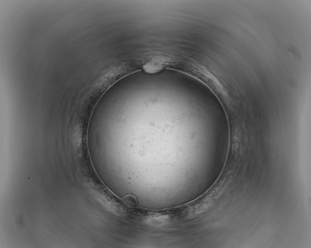 X0000111600257200907231242