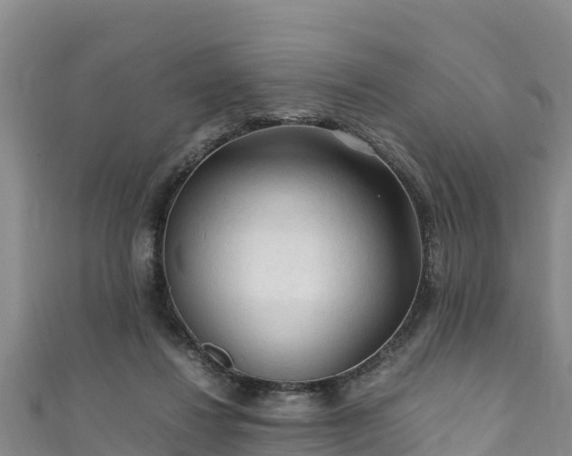 X0000111600260200907231242