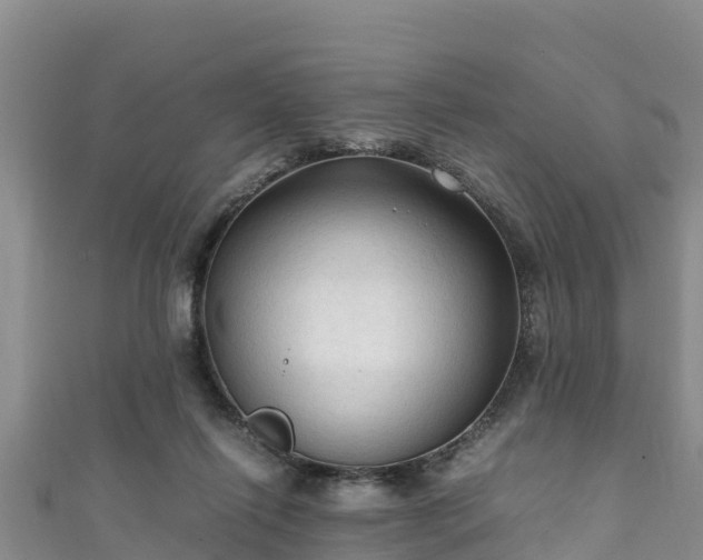 X0000111600262200907231242