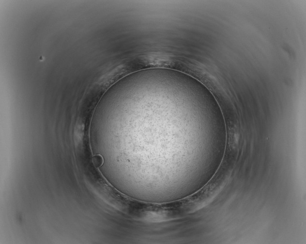 X0000111600263200907231242