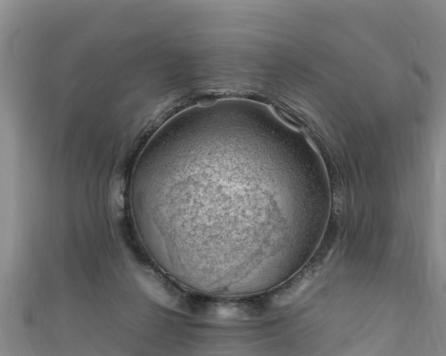 X0000111600264200907231242